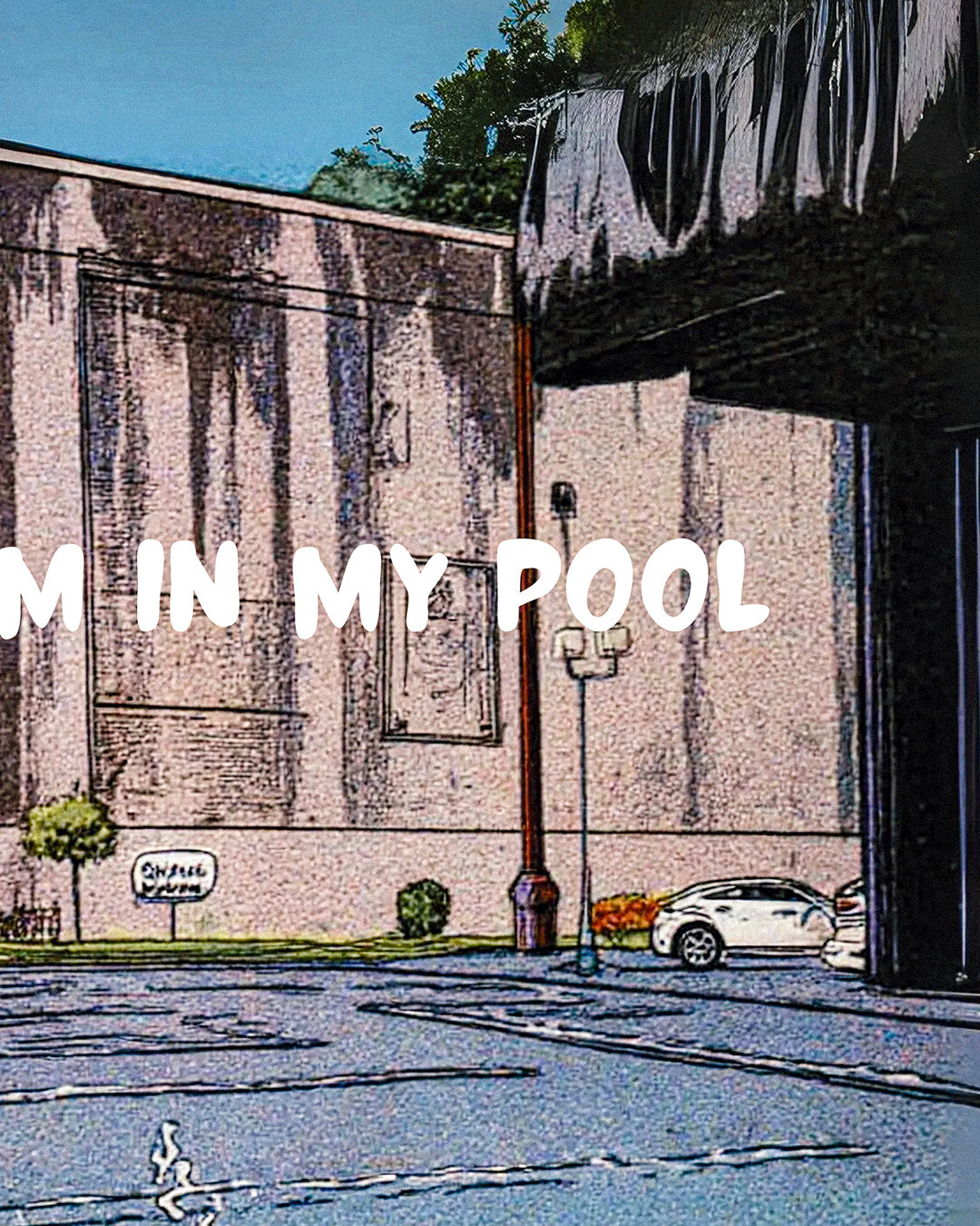 【ポスターのみ】Swim in My Pool Posterアートポスター(A2,A3)