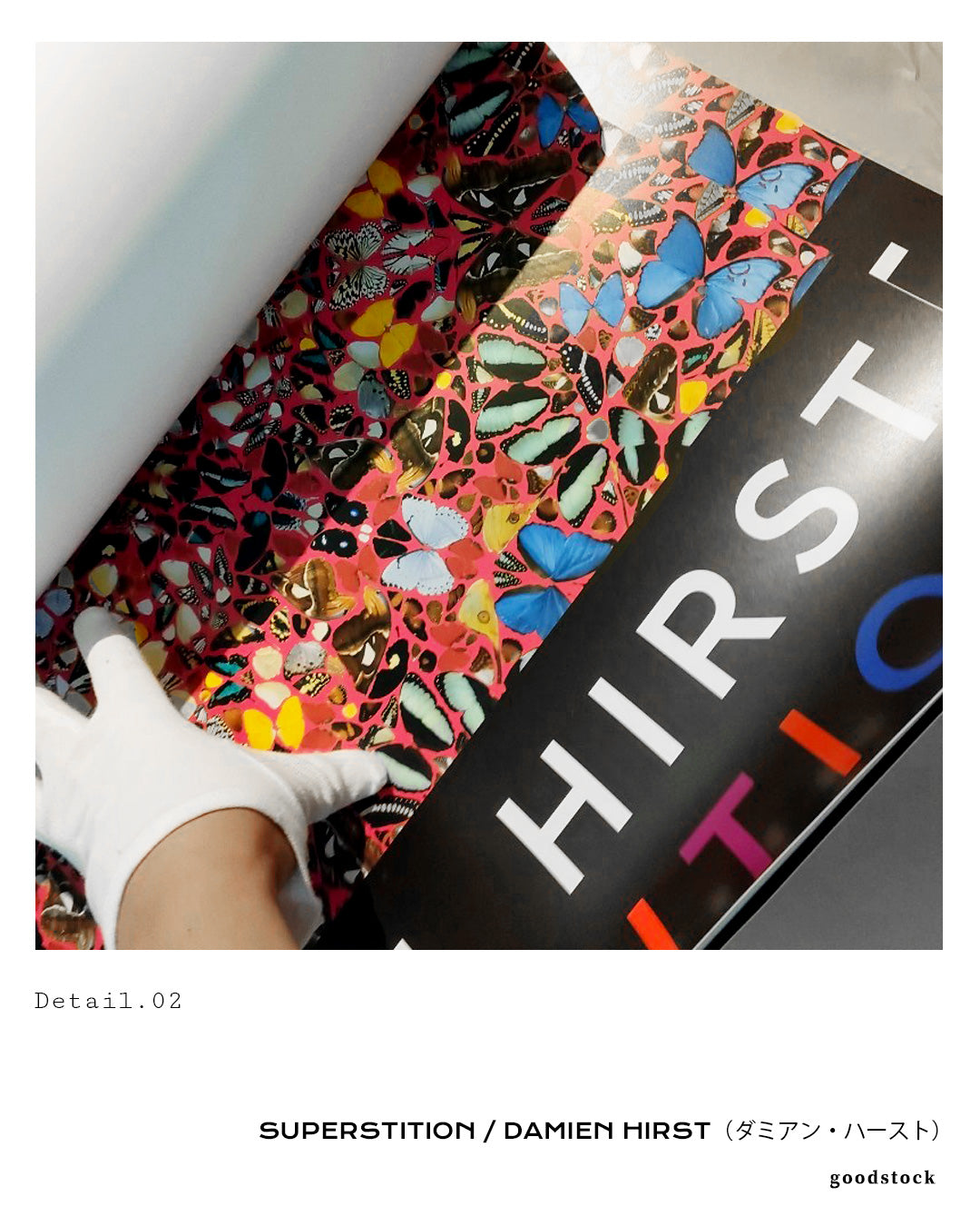 the Dwelling Placeポスター【Damien Hirst│ダミアン・ハースト】(66cm×100cm)
