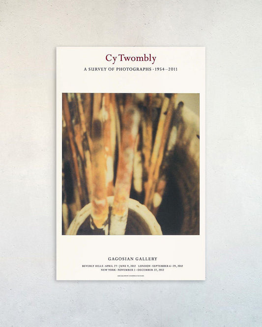 【OUTLET】Brushes, Lexingtonポスター【Cy Twombly│サイ・トゥオンブリー】(83.8cm×53.3cm)