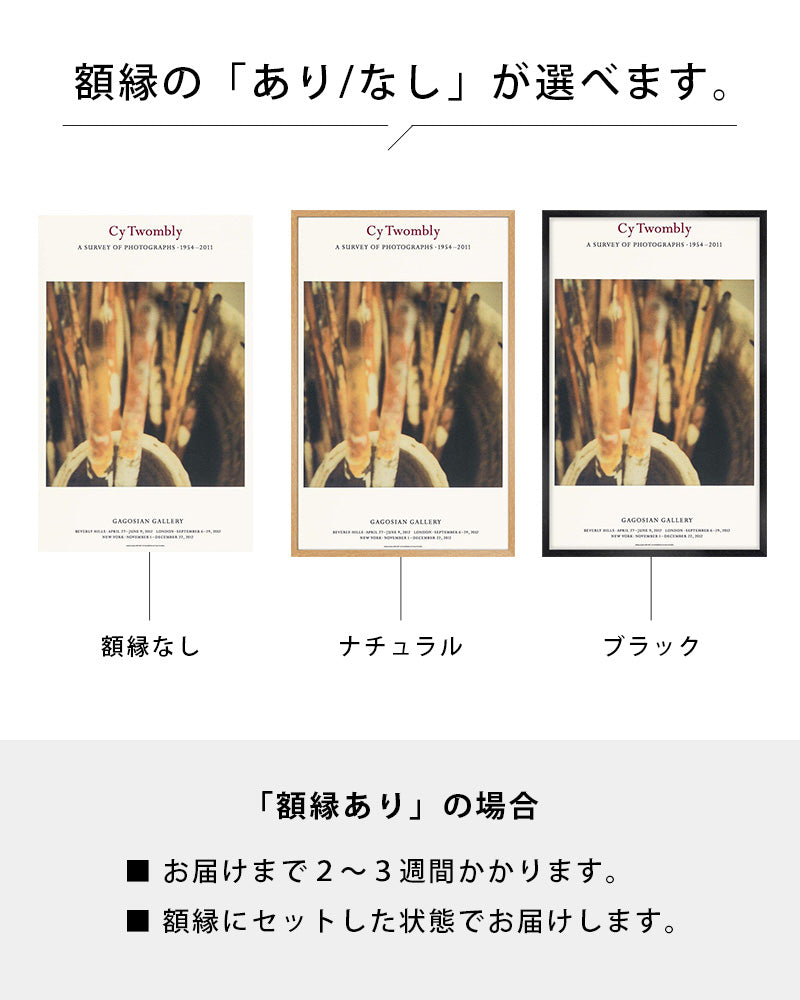 【OUTLET】Brushes, Lexingtonポスター【Cy Twombly│サイ・トゥオンブリー】(83.8cm×53.3cm)