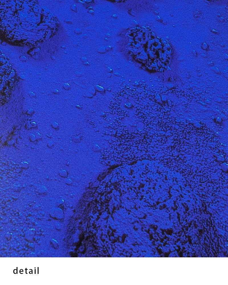 Relief éponge-Blue RE 17(1960)ポスター【Yves Klein │イヴ・クライン】(50cm×70cm)