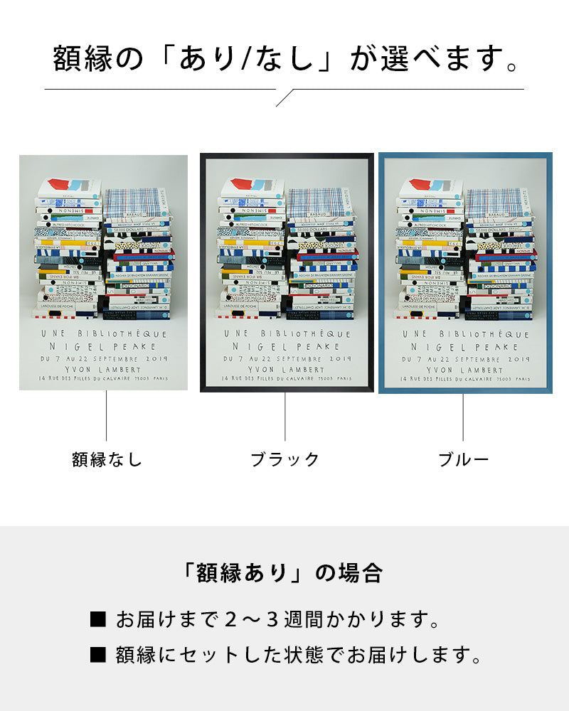 Une Bibliothèqueポスター【Nigel Peake│ナイジェル・ピーク】(46cm×33cm)