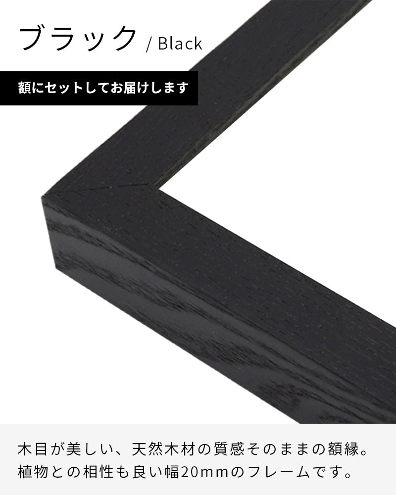 Askew(2013-21)ポスター【Brice Marden│ブライス・マーデン】(98.7cm×66.7cm)