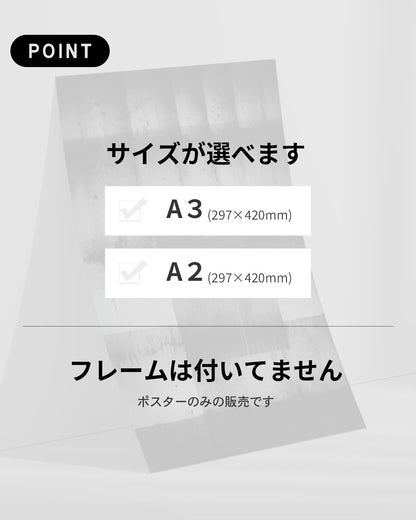 【ポスターのみ】Grayscale Noise Posterアートポスター（A2,A3）