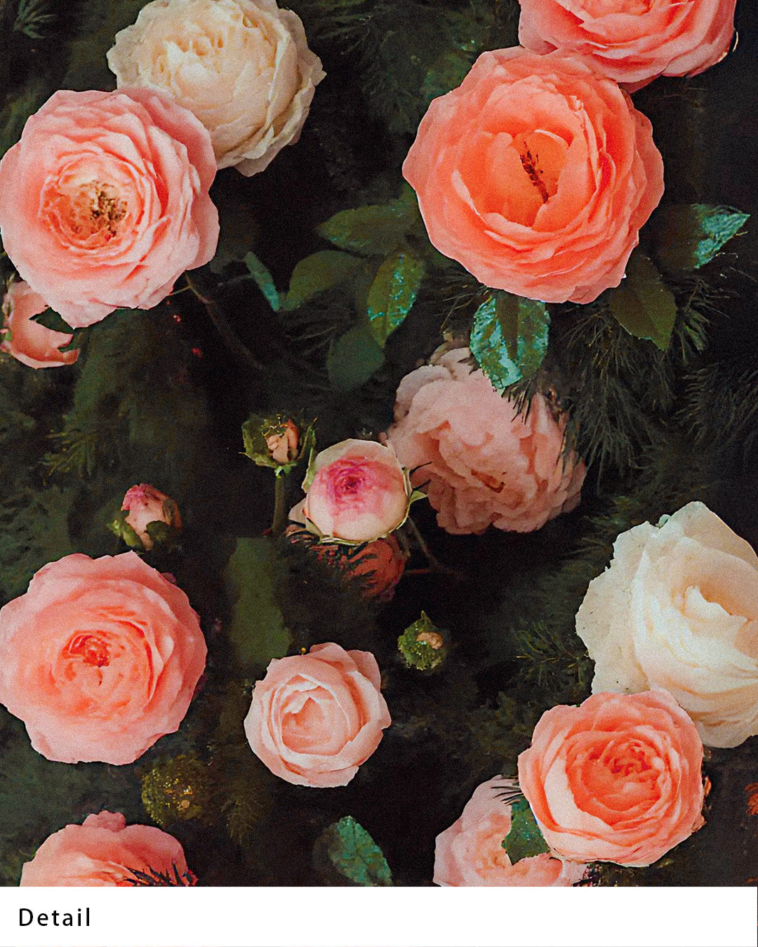 【ポスターのみ】Garden of Tenderness Posterアートポスター（A2,A3）