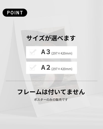 【ポスターのみ】Iridescent Metal Formアートポスター（A2,A3）