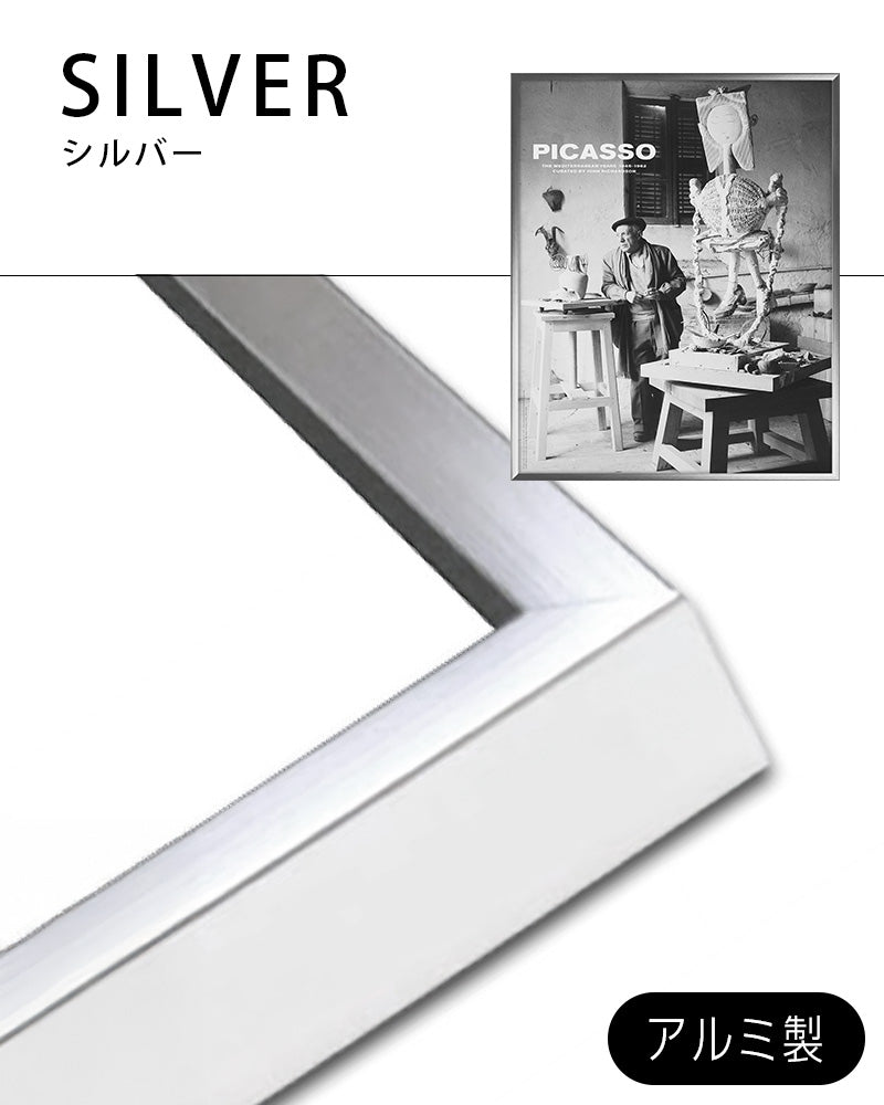 The Mediterranean Years (1945–1962)ポスター【Picasso│ピカソ】（40.6cm×50.8cm）