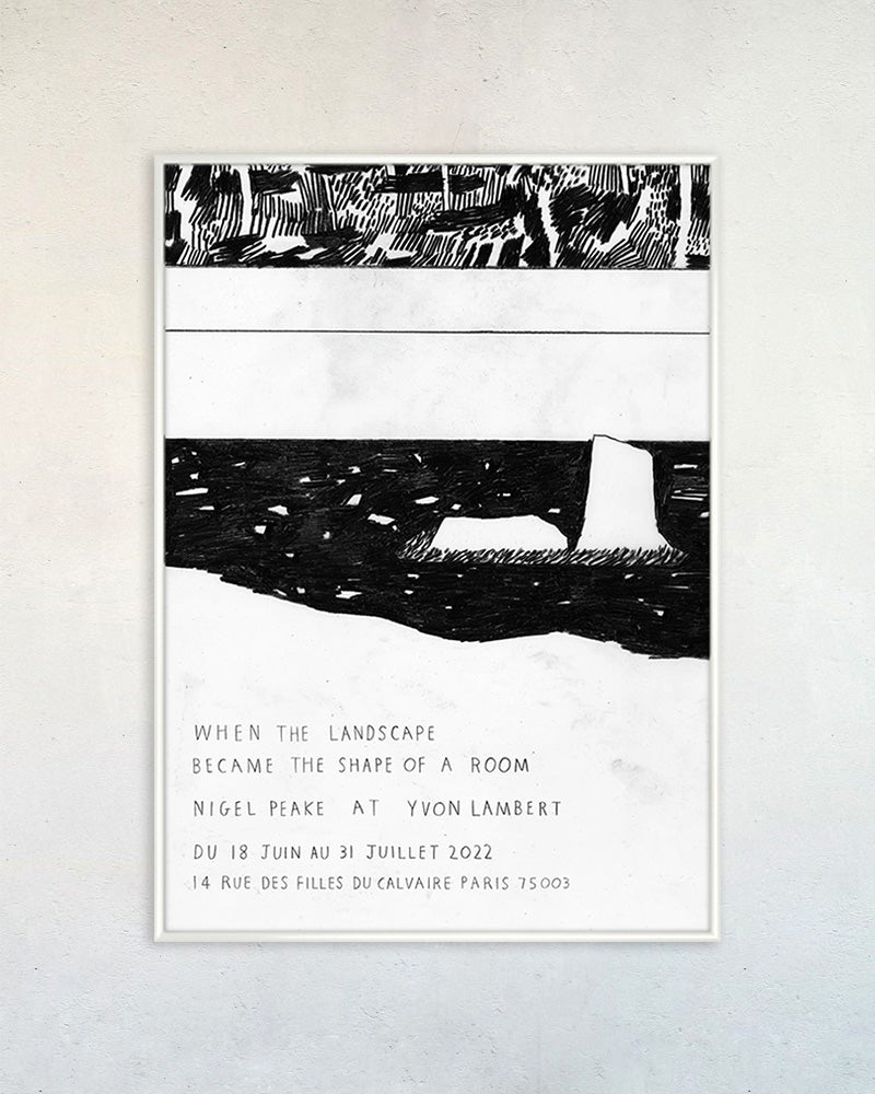 【国内未入荷フランス限定】ナイジェルピーク Nigel Peake 希少ポスター When the Landscape Became the Shape of a Roomポスター【Nigel Peake