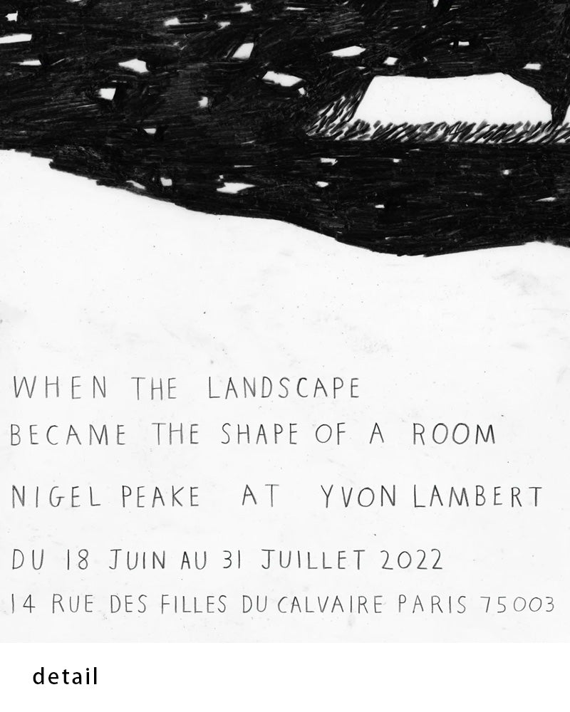 When the Landscape Became the Shape of a Roomポスター【Nigel Peake│ナイジェル・ピーク】（46cm×33cm）