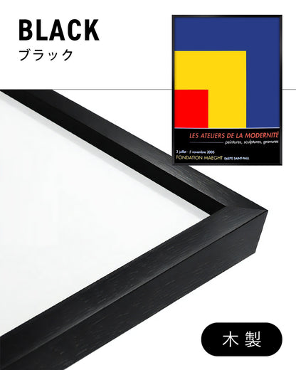 Red, Yellow, Blue Exhibition Poster (Fondation Maeght, 2005)ポスター【Ellsworth Kelly│エルズワース・ケリー】
