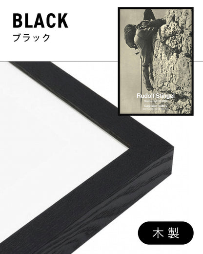 Gagosian Exhibition Poster, 2014ポスター【Rudolf Stingel│ルドルフ・スティンゲル】（99.1×70.5）
