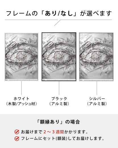 The Eye of the New-York City Balletポスター【JR│ジェイ・アール】（70×50）