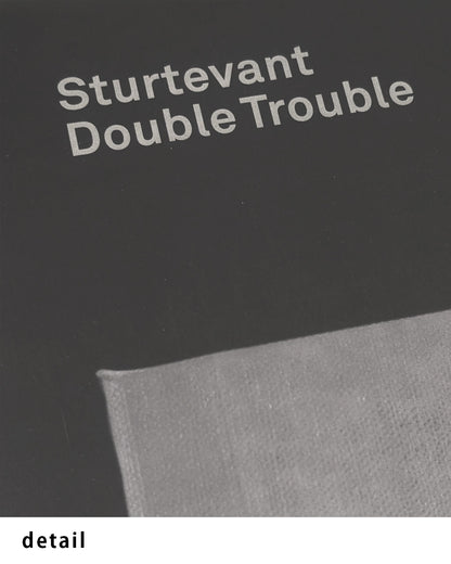 Double Trouble│スターテヴァント