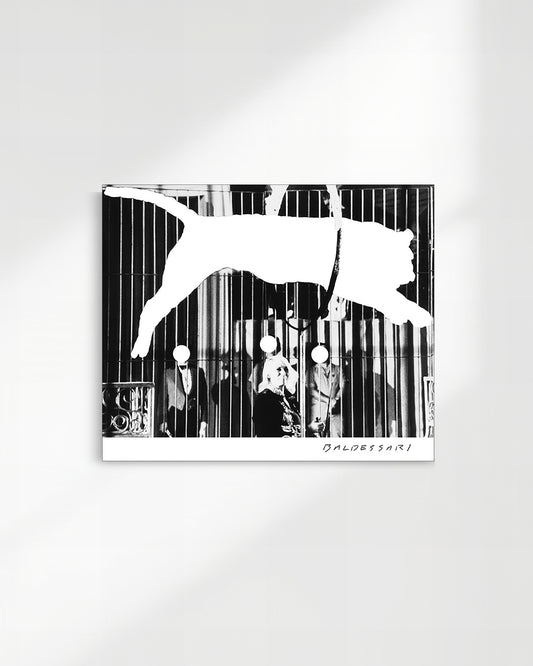 Tiger With No Stripes│ジョン・バルデッサリ