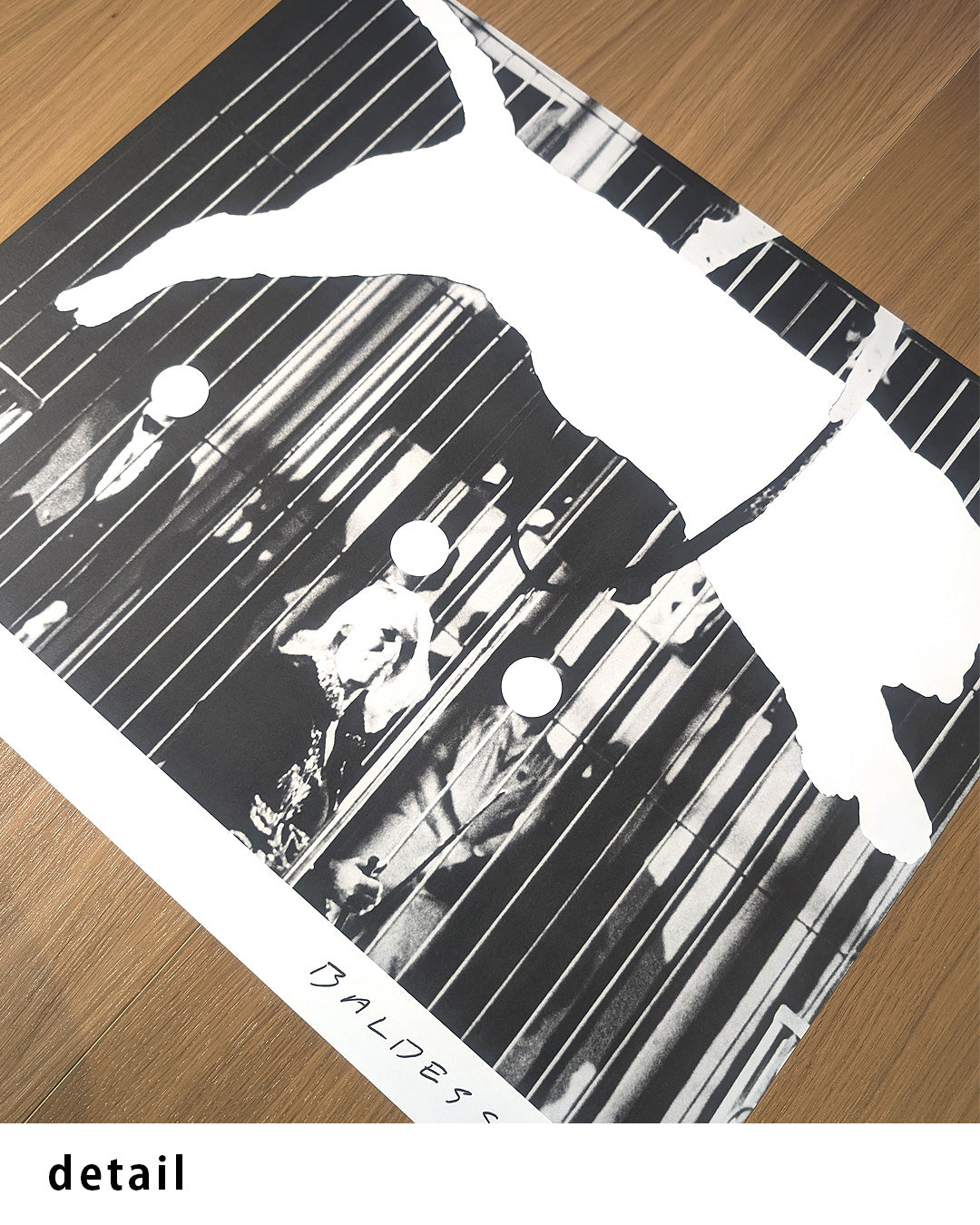 ジョン・バルデッサリ　John Baldessari　ポストカード Tiger With No Stripesポスター【John Baldessari│ジョン