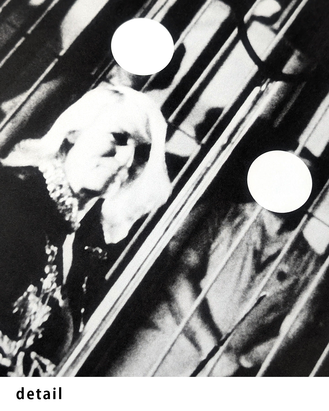 Tiger With No Stripesポスター【John Baldessari│ジョン