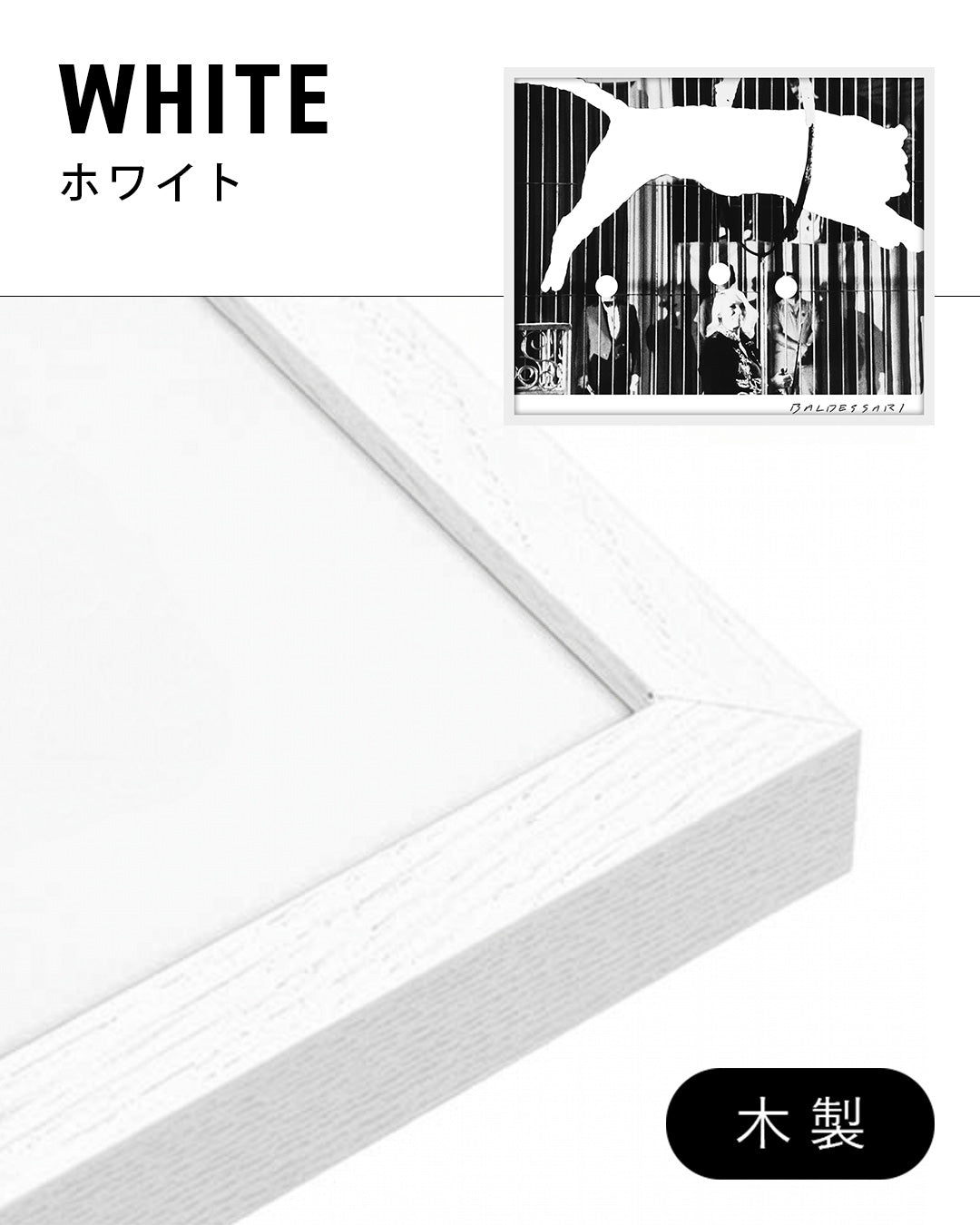 Tiger With No Stripesポスター【John Baldessari│ジョン